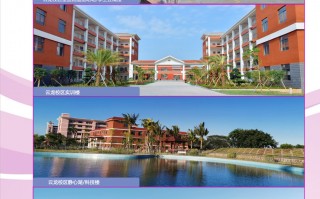 海南科技职业学院教务系统 海南公布高校开学返校工作咨询电话