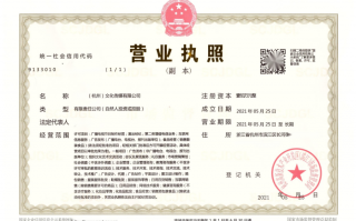 文化科技公司经营范围 天地在线等成立文化科技公司 含游乐园服务业务