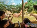 恐龙科技 科技赋能唤醒“恐龙基因” 常州探索文旅融合新范式